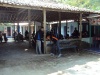 Liburan ke pantai 9